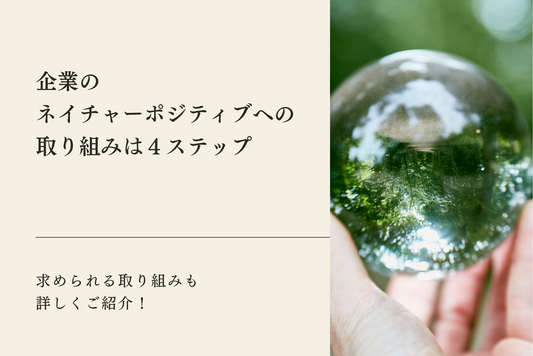 企業のネイチャーポジティブへの取り組みは4ステップ｜求められる取り組みも詳しくご紹介！