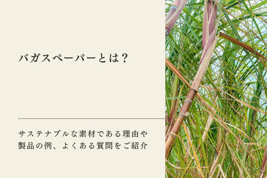 バガスペーパーとは？サステナブルな素材である理由や製品の例、よくある質問をご紹介！