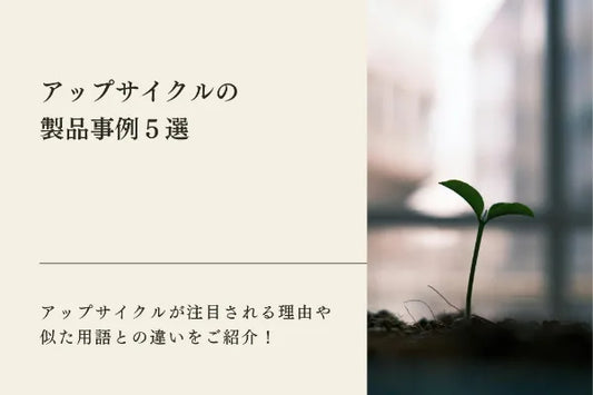 バガスペーパーとは？サステナブルな素材である理由や製品の例、よくある質問をご紹介！